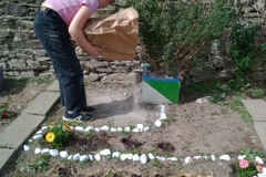 IMG_20250404_155905903