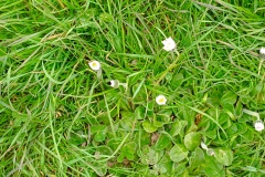IMG_20250321_100605