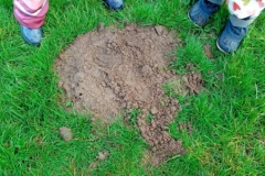 IMG_20260123_100410