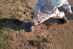 IMG_20260123_110700