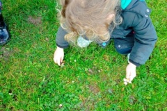 IMG_20260206_105304