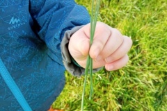 IMG_20260206_105930