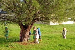 IMG_20260206_110323