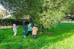 IMG_20260206_110504
