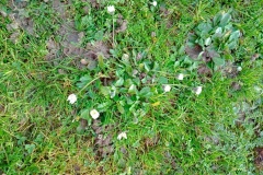 IMG_20260206_110600
