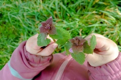 IMG_20260206_111145