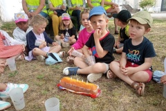 IMG_20260615_100531