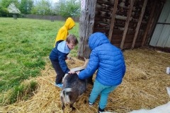 IMG_20260403_103051