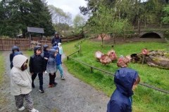 IMG_20260403_104928