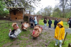 IMG_20260403_105131