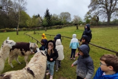 IMG_20260403_113326