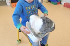IMG_20250401_115508