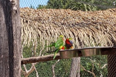 IMG_20220531_133349