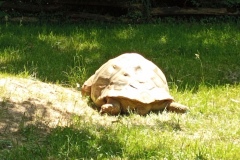 IMG_20220531_133904