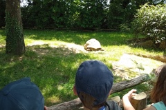 IMG_20220531_133910