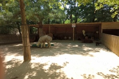 IMG_20220531_135208