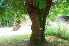 IMG_20230627_132634
