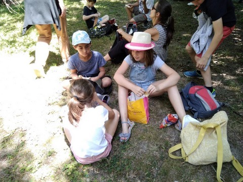 IMG_20190702_131648-1