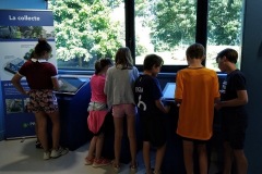 IMG_20190702_115343-1