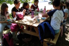 IMG_20190702_131606-1