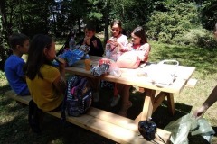 IMG_20190702_131641-1
