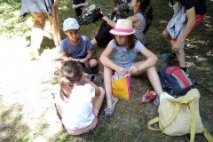 IMG_20190702_131648-1