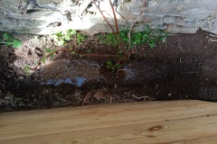 IMG_20250404_155023184