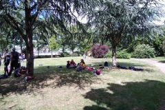 IMG_20190620_154306