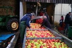 IMG_20181117_085236_resized_20181117_055555928