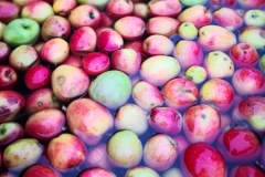 IMG_20181117_091030_resized_20181117_055713841