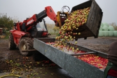 IMG_20181117_092733_resized_20181117_055806542