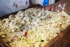 IMG_20181117_093512_resized_20181117_055806342