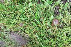 IMG_20241205_103355