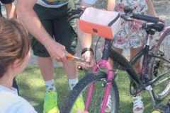 IMG-20260522-WA0005