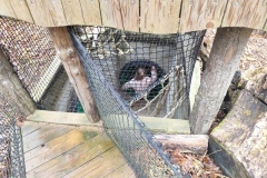 IMG_20260403_103050