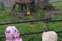 IMG-20260407-WA0009