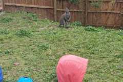 IMG-20260407-WA0011