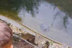IMG-20260407-WA0012