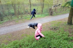 IMG_20260403_103337