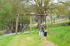 IMG_20260403_110217