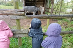 IMG_20260403_112350