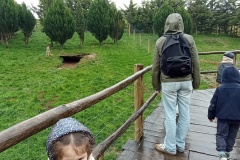 IMG_20260403_115543