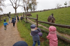 IMG_20260403_120502