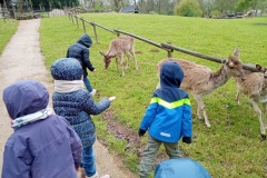 IMG_20260403_121845