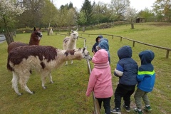 IMG_20260403_135053
