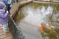 IMG_20260403_135900