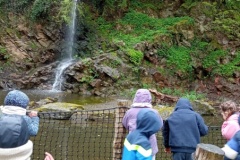 IMG_20260403_140038