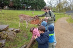 IMG_20260403_141150