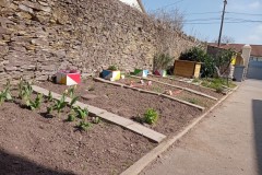 IMG_20250327_113403_BURST1