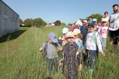 IMG_20260522_094418